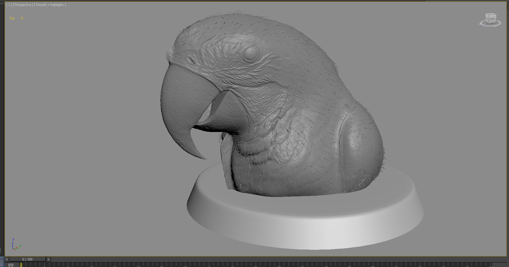 Macaw colorful New World parrots 3D model_5