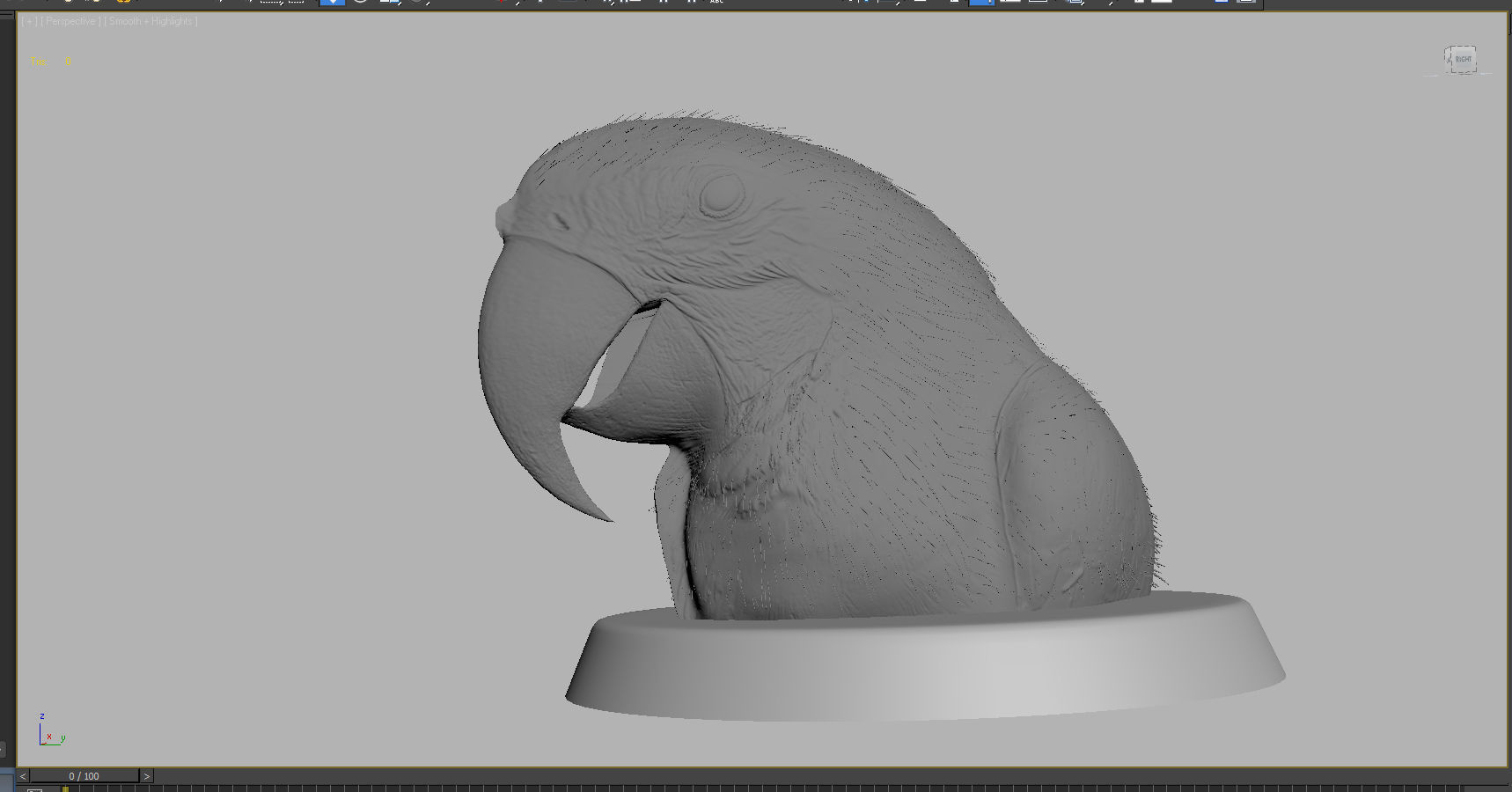 Macaw colorful New World parrots 3D model_4