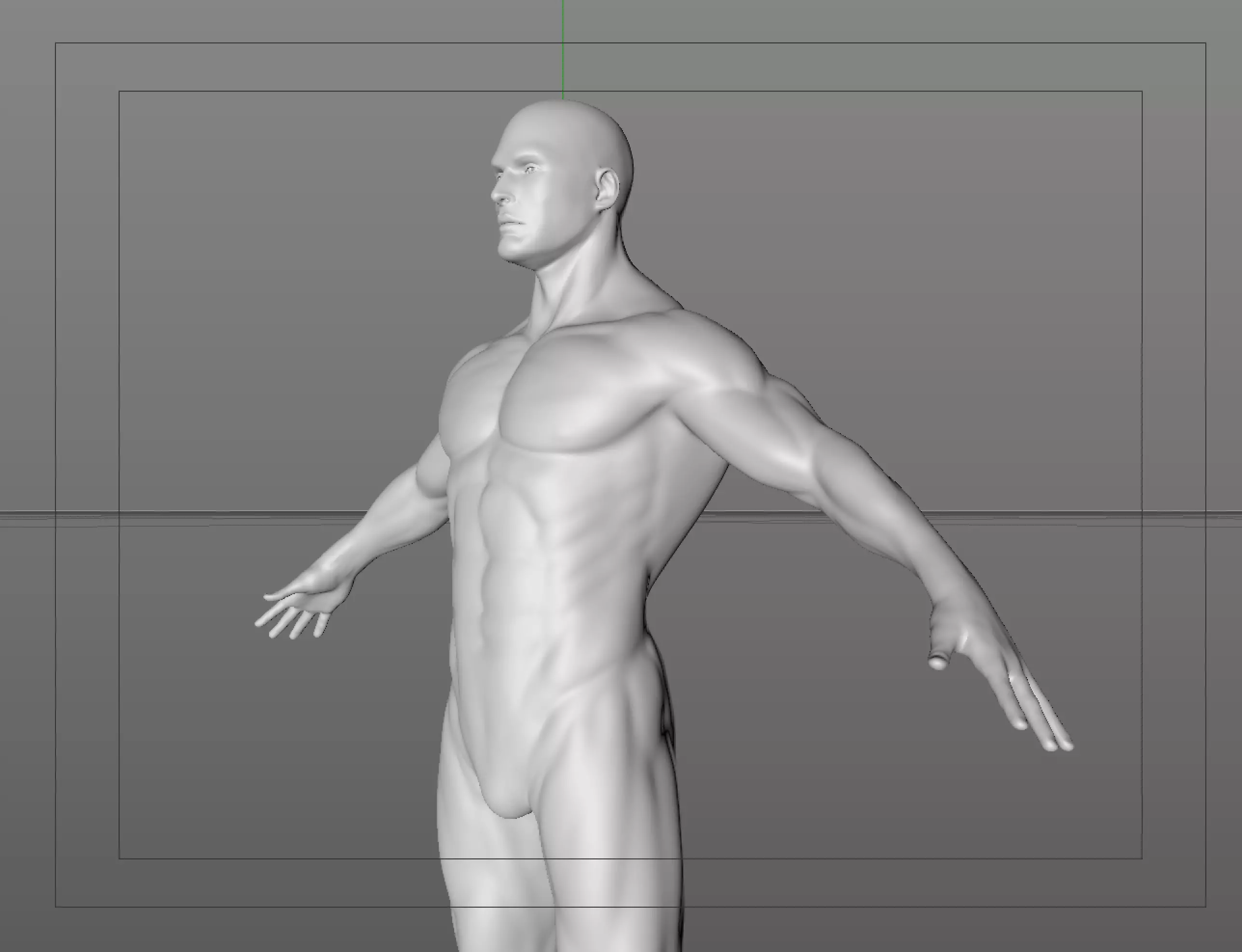 AWARD MODEL human body Free 3D model_0