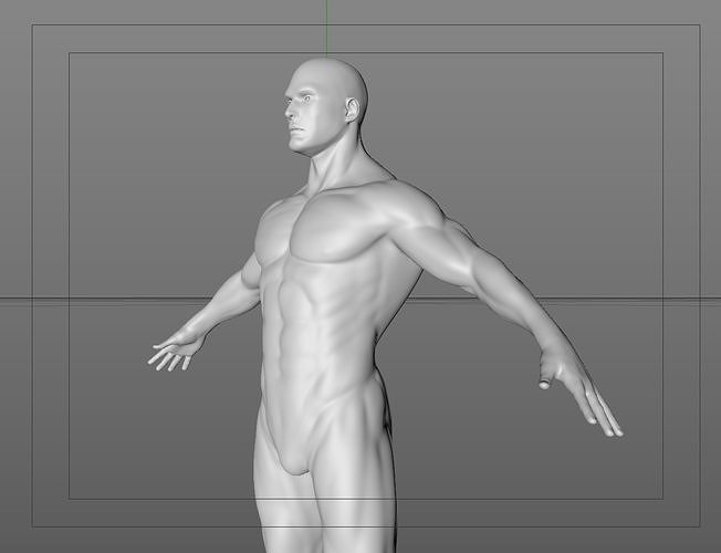 AWARD MODEL human body Free 3D model