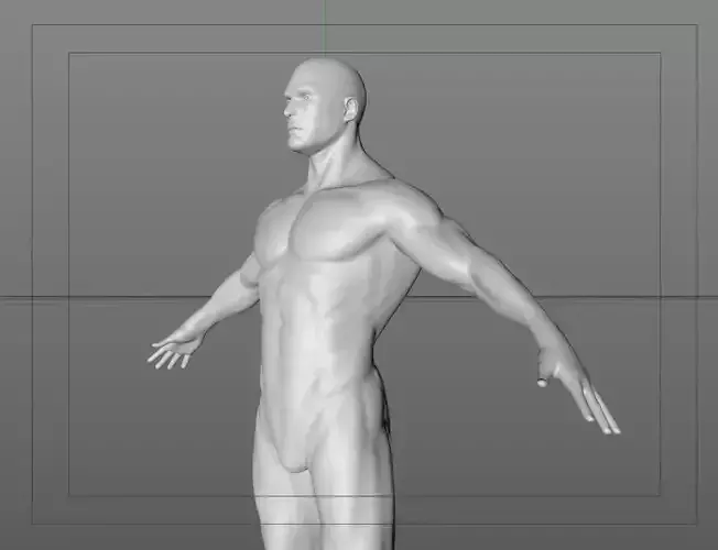 AWARD MODEL human body