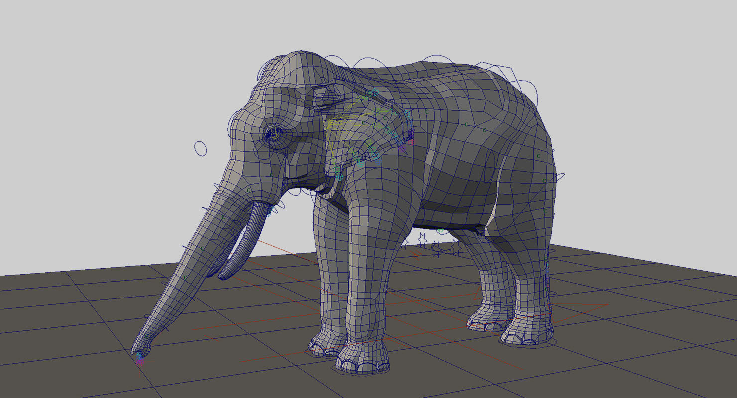 elephant 3d rig model 3D model_6