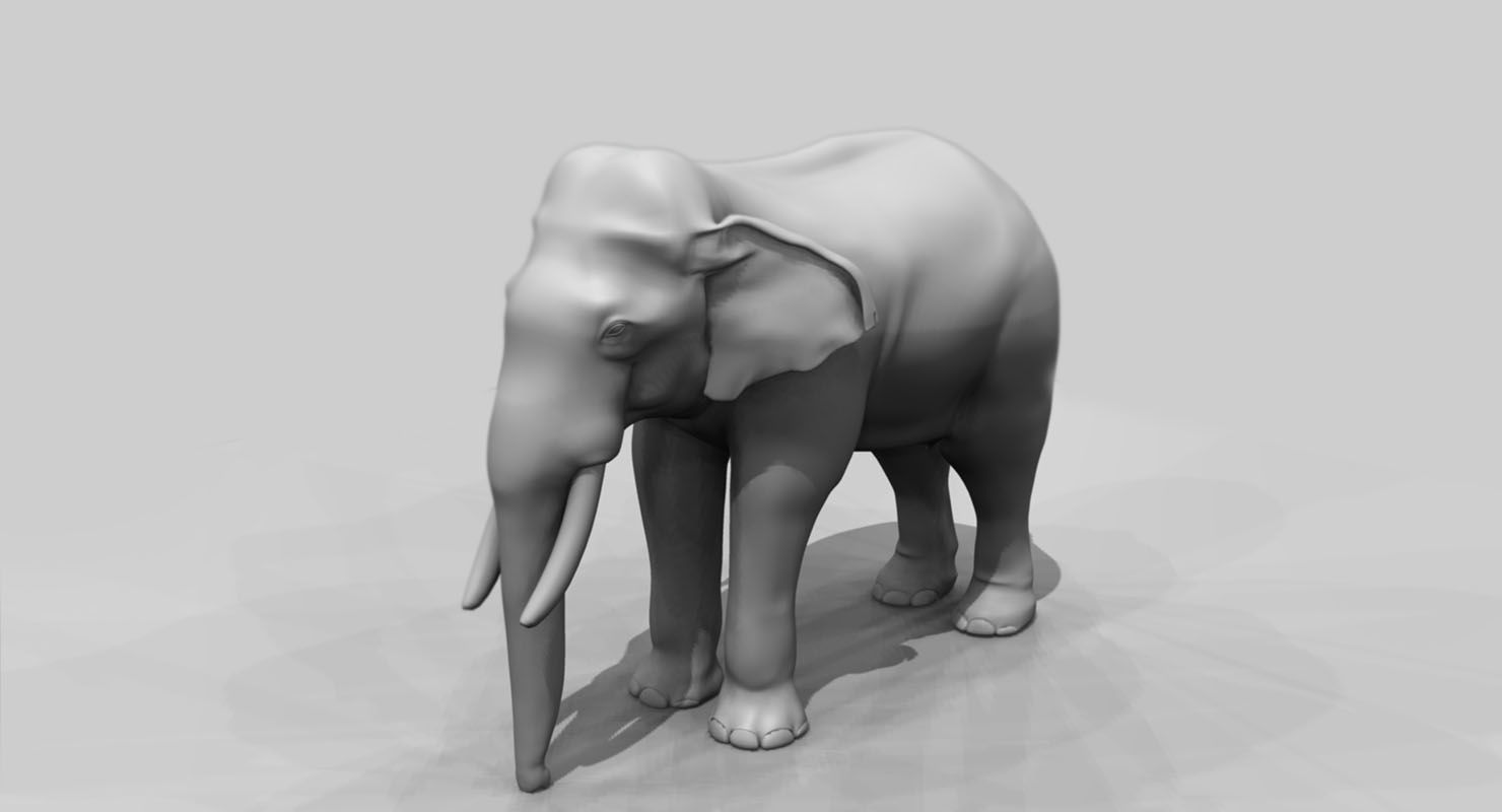 elephant 3d rig model 3D model_16