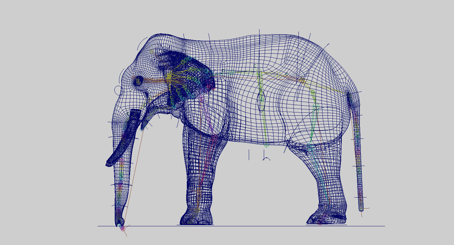 elephant 3d rig model 3D model_3