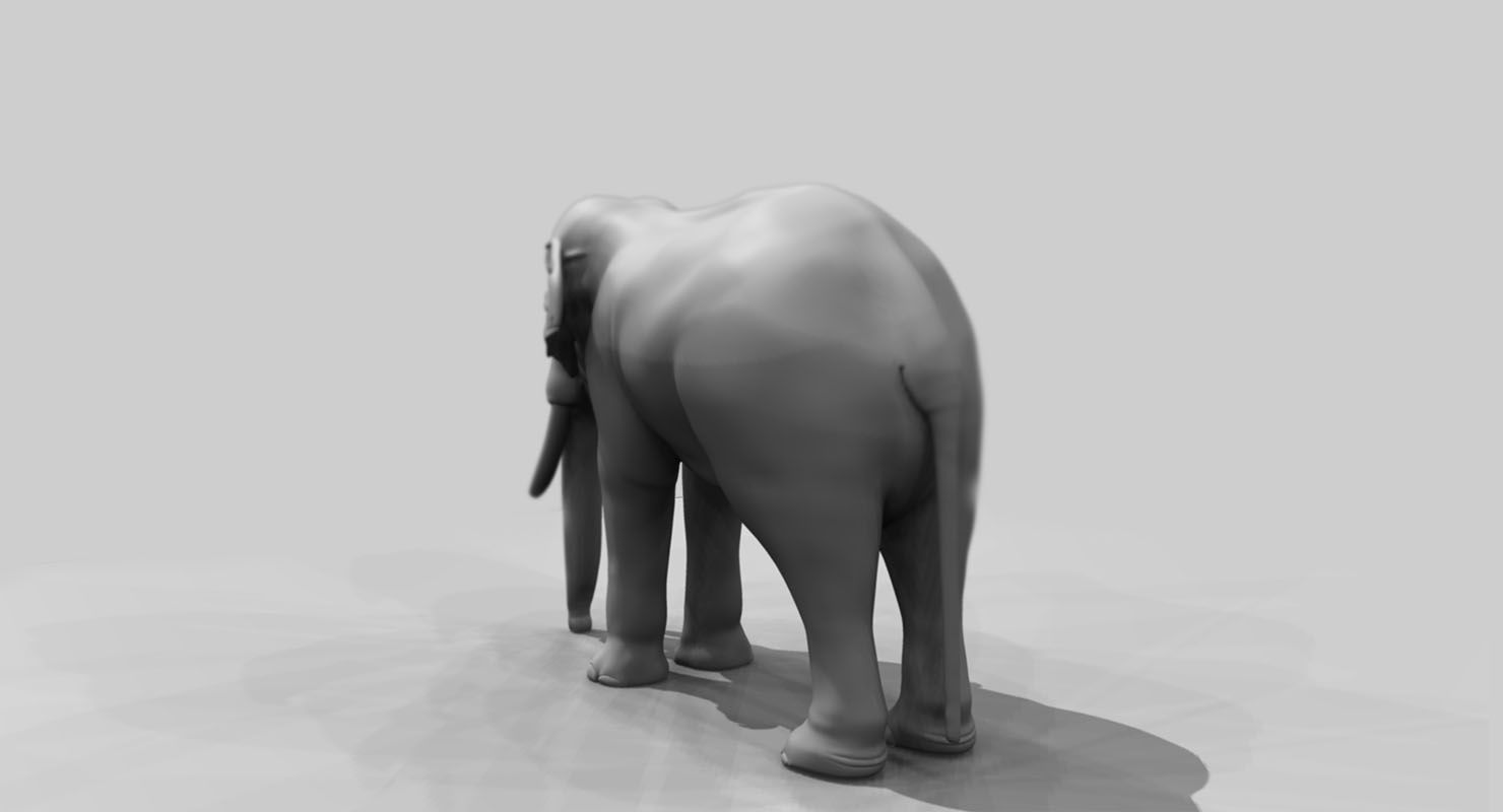 elephant 3d rig model 3D model_1