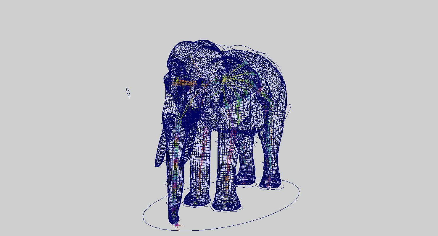 elephant 3d rig model 3D model_5