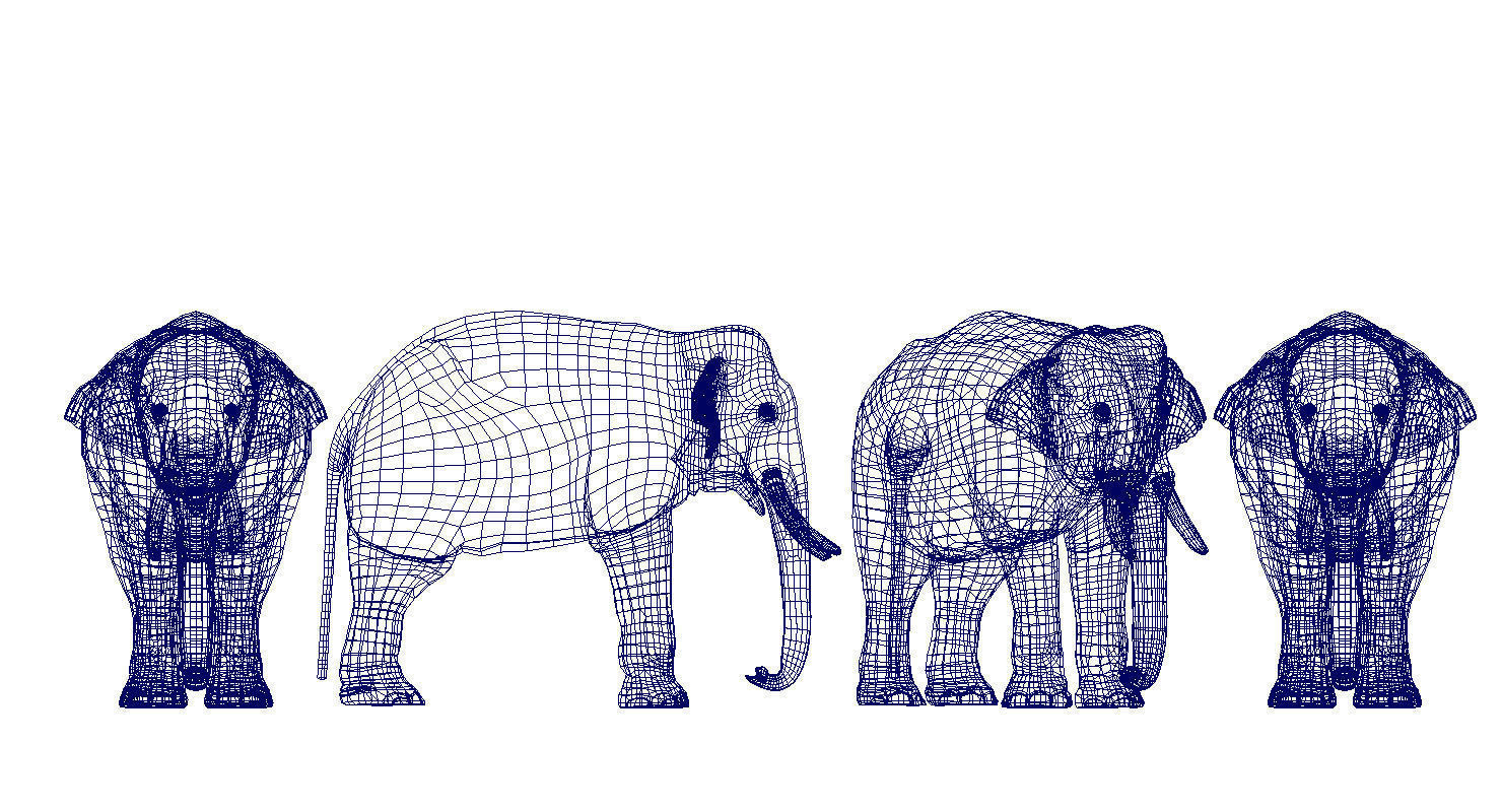 elephant 3d rig model 3D model_3