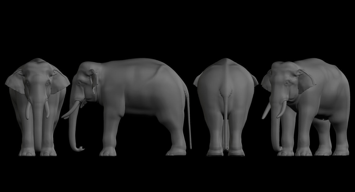 elephant 3d rig model 3D model_11