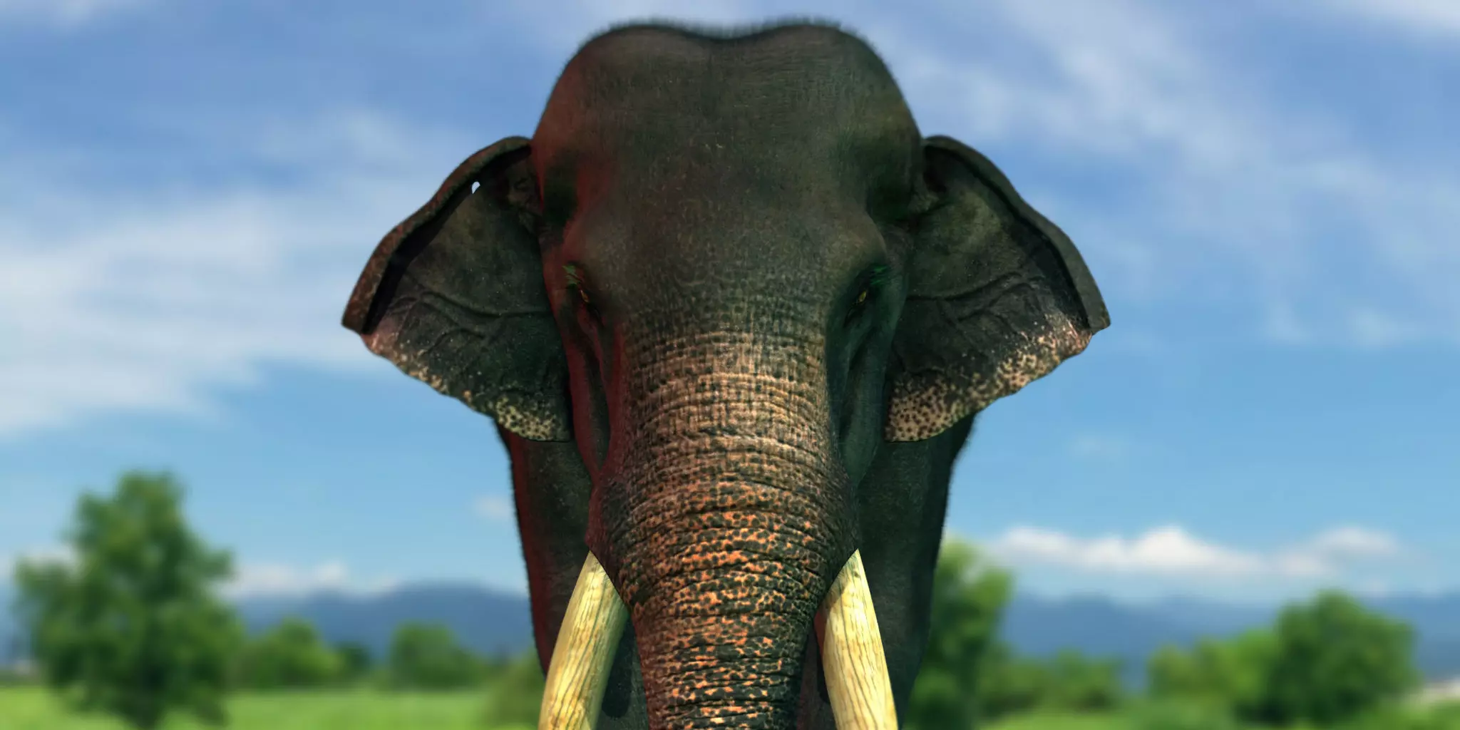 elephant 3d rig model 3D model_0