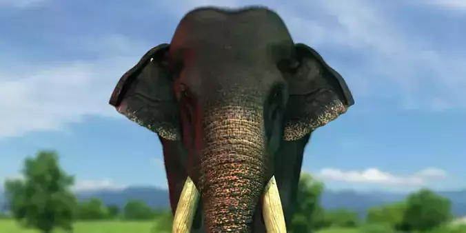 elephant 3d rig model 3D model