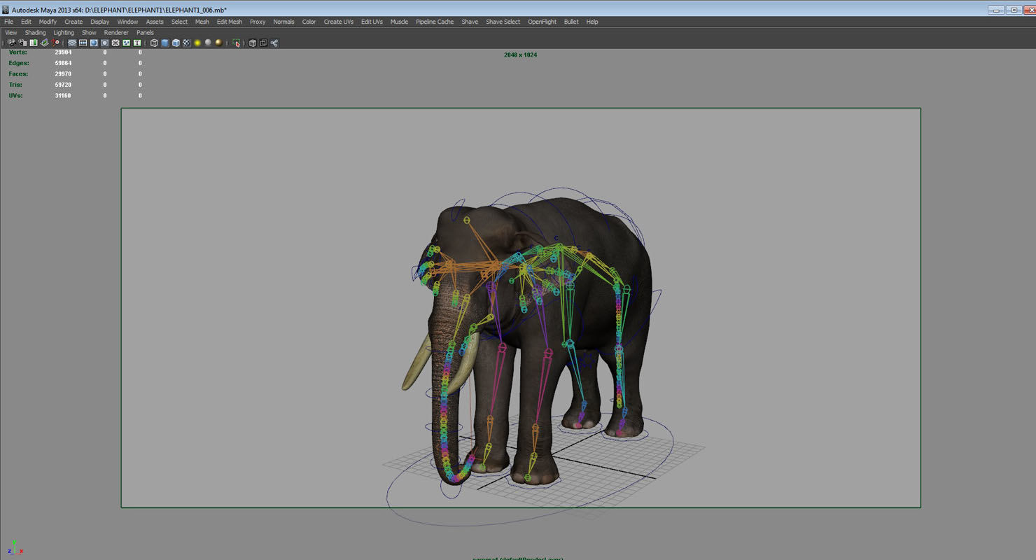 elephant 3d rig model 3D model_2