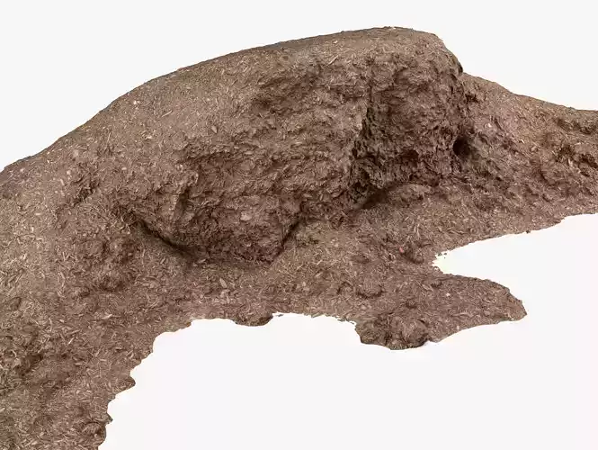 Mulch Pile - 8K Scan