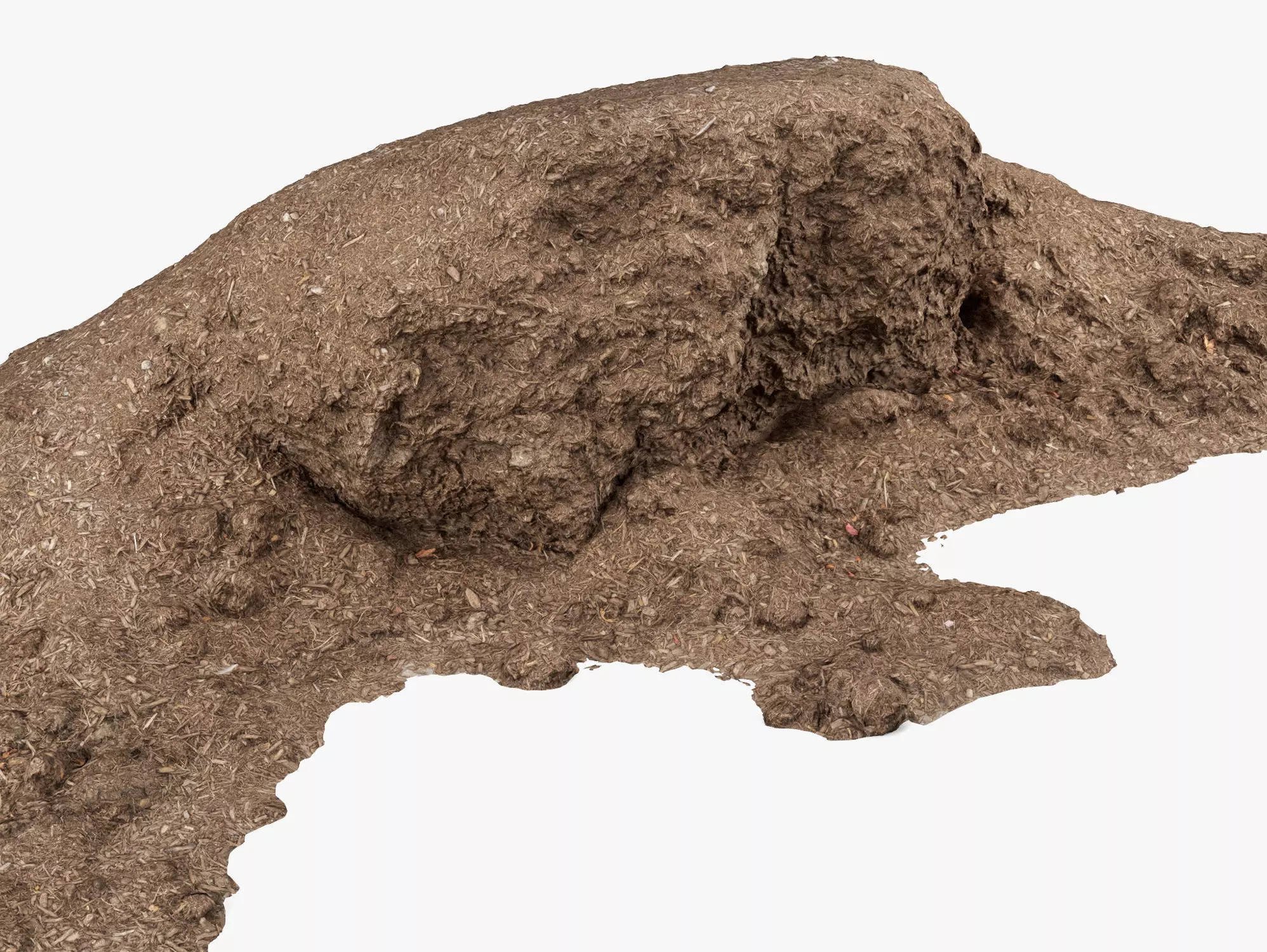 Mulch Pile - 8K Scan Low-poly 3D model_0