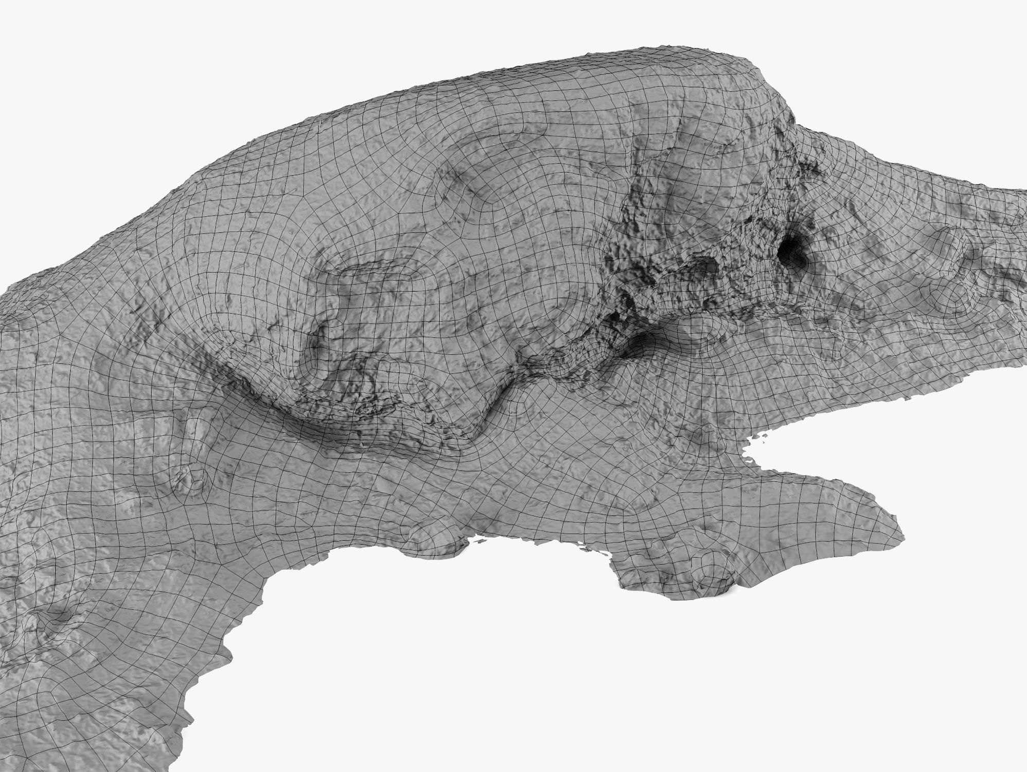 Mulch Pile - 8K Scan Low-poly 3D model_8