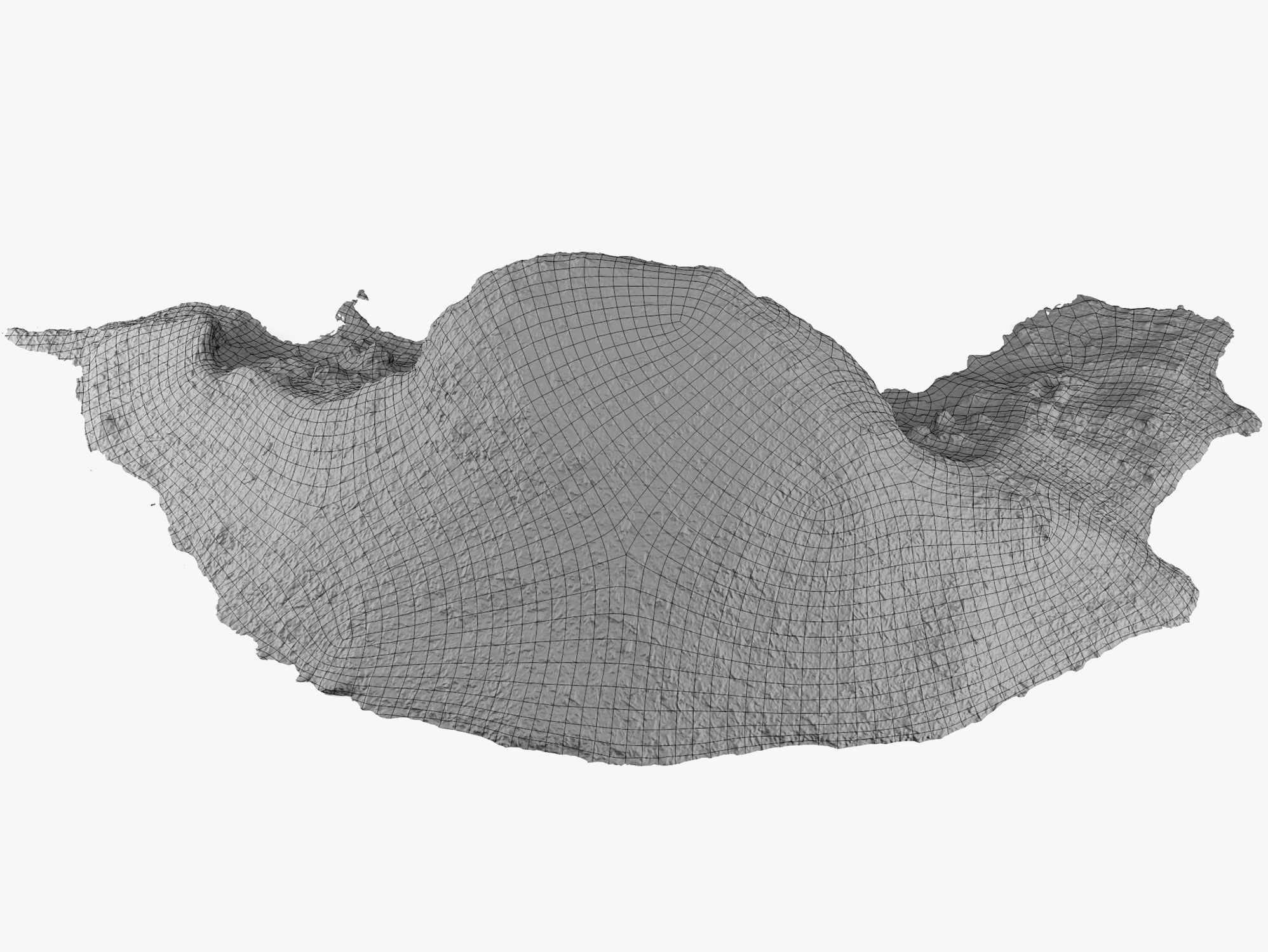 Mulch Pile - 8K Scan Low-poly 3D model_6