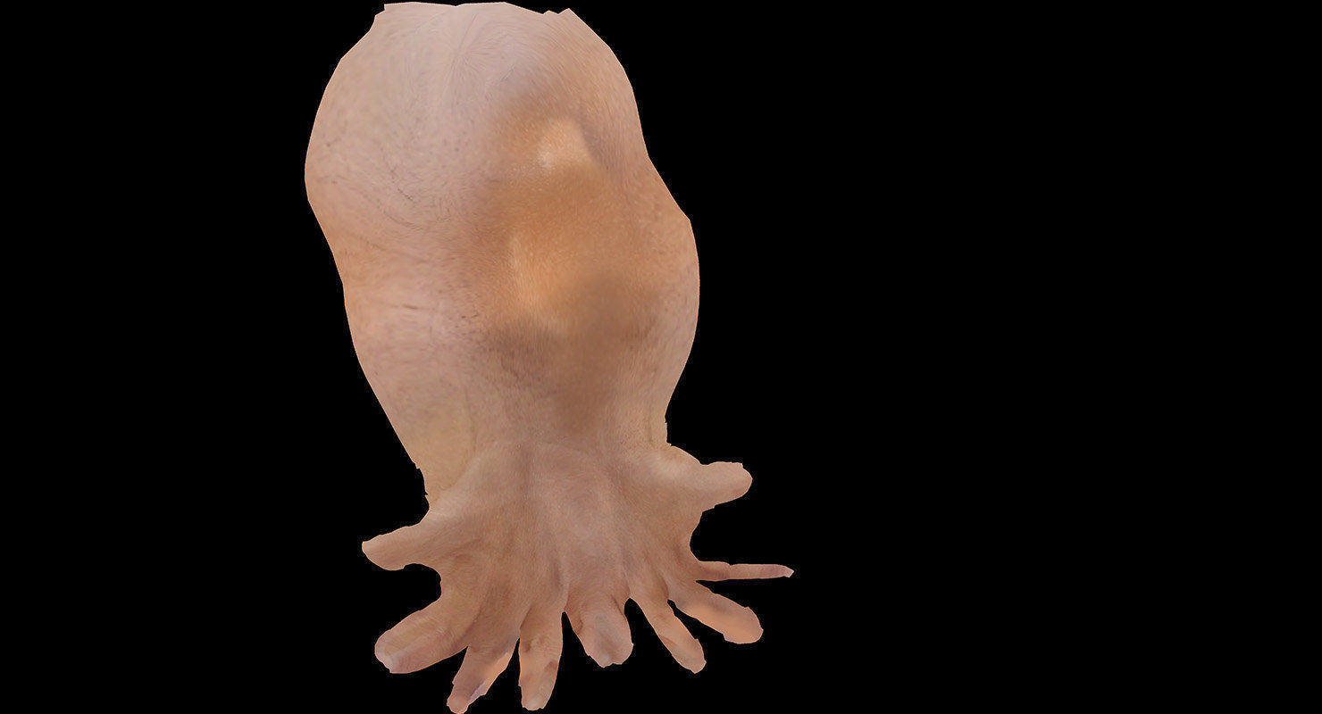 god maha kali 3d model 3D model_13