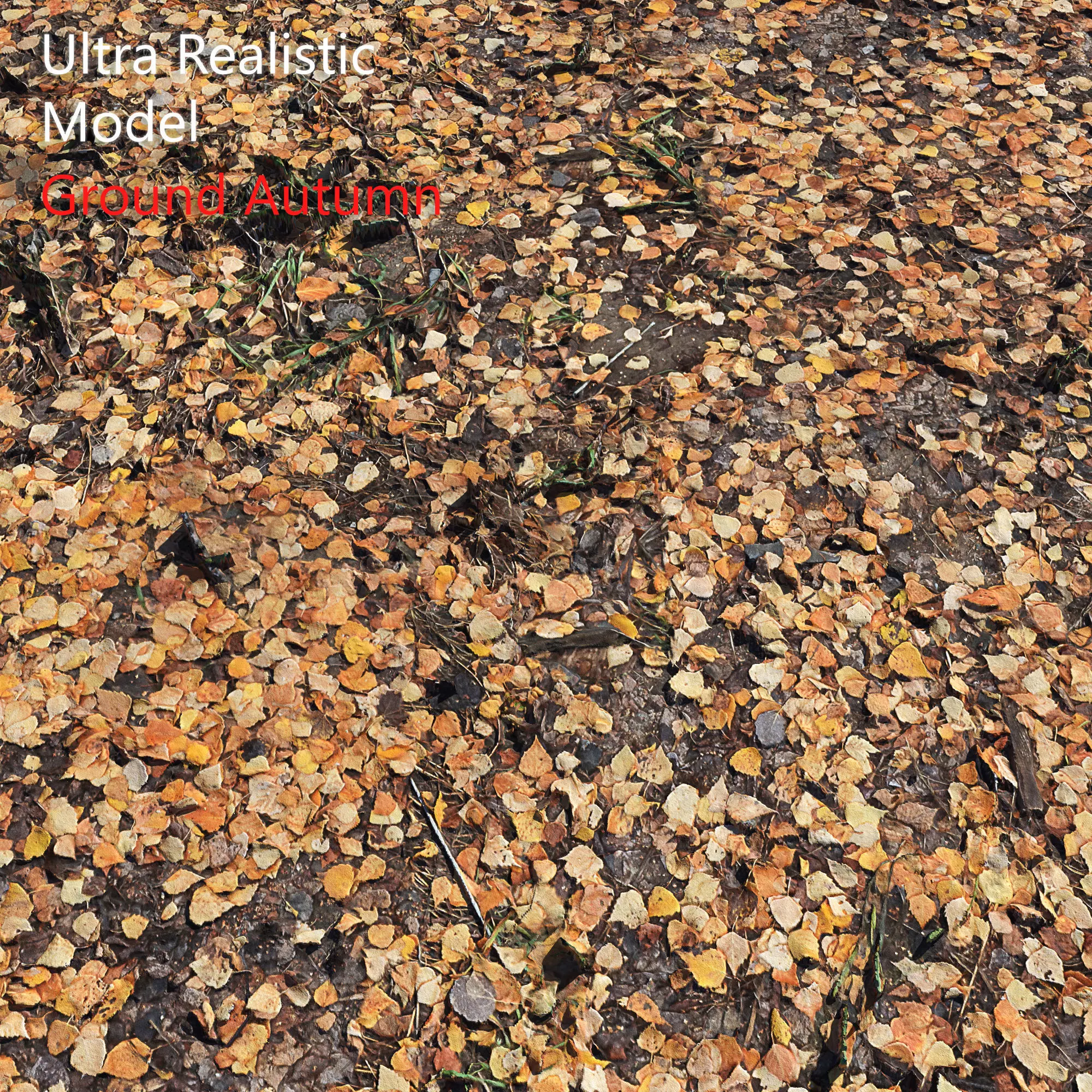 Ground autumn scan 3D model_0
