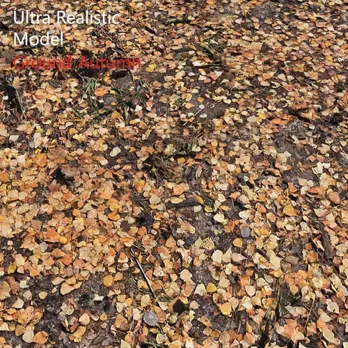 Ground autumn scan 3D model