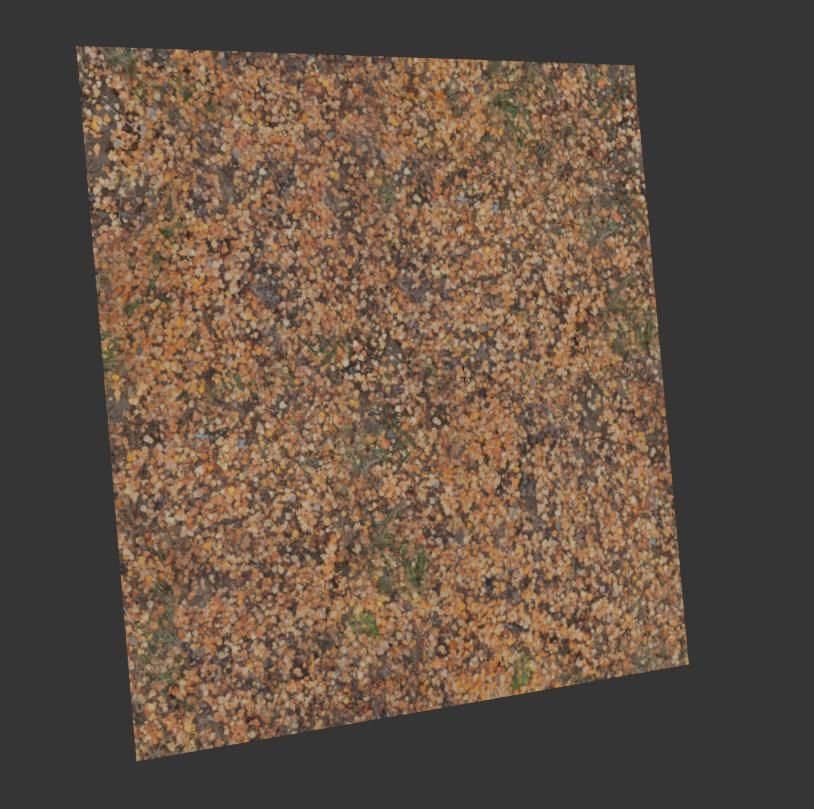 Ground autumn scan 3D model_3