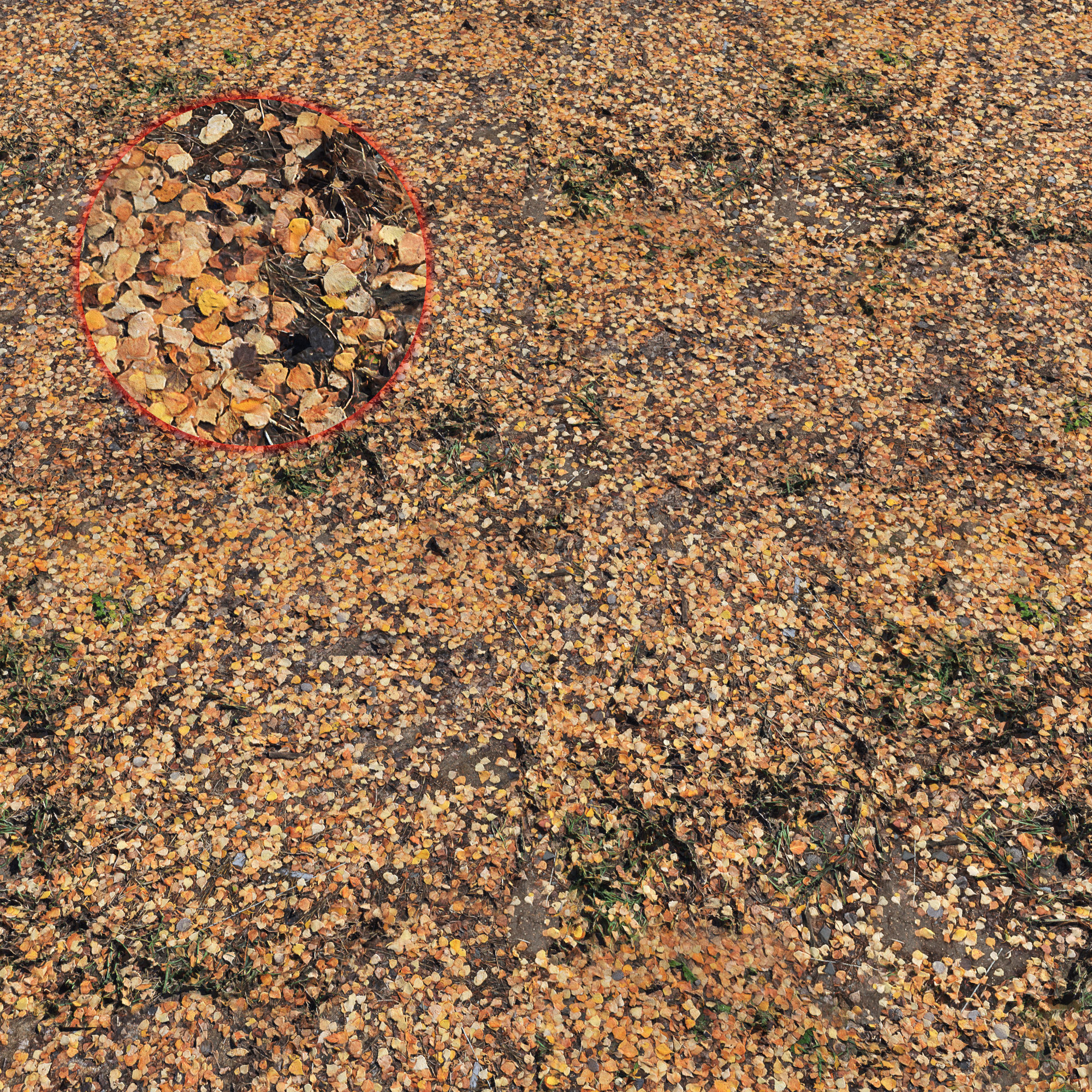 Ground autumn scan 3D model_1