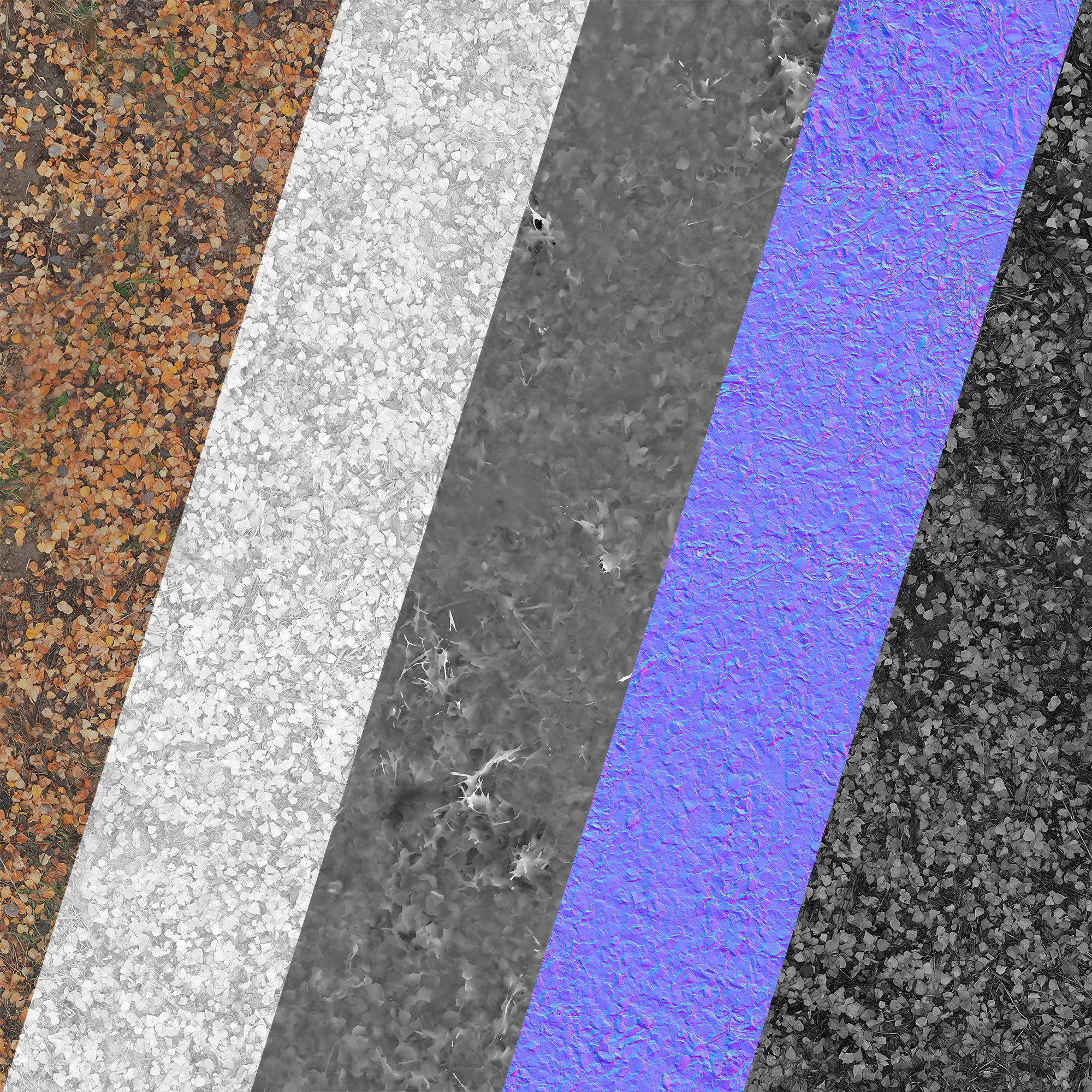 Ground autumn scan 3D model_6