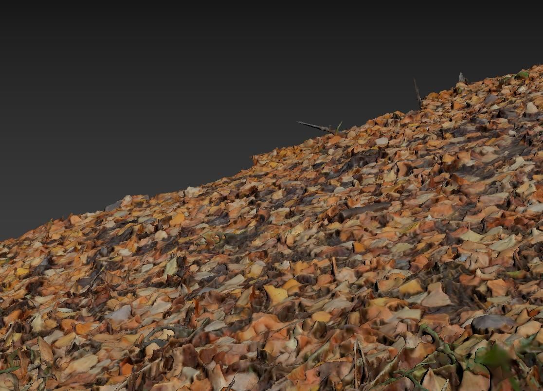 Ground autumn scan 3D model_8