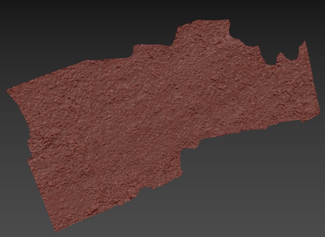 Ground autumn scan 3D model_9