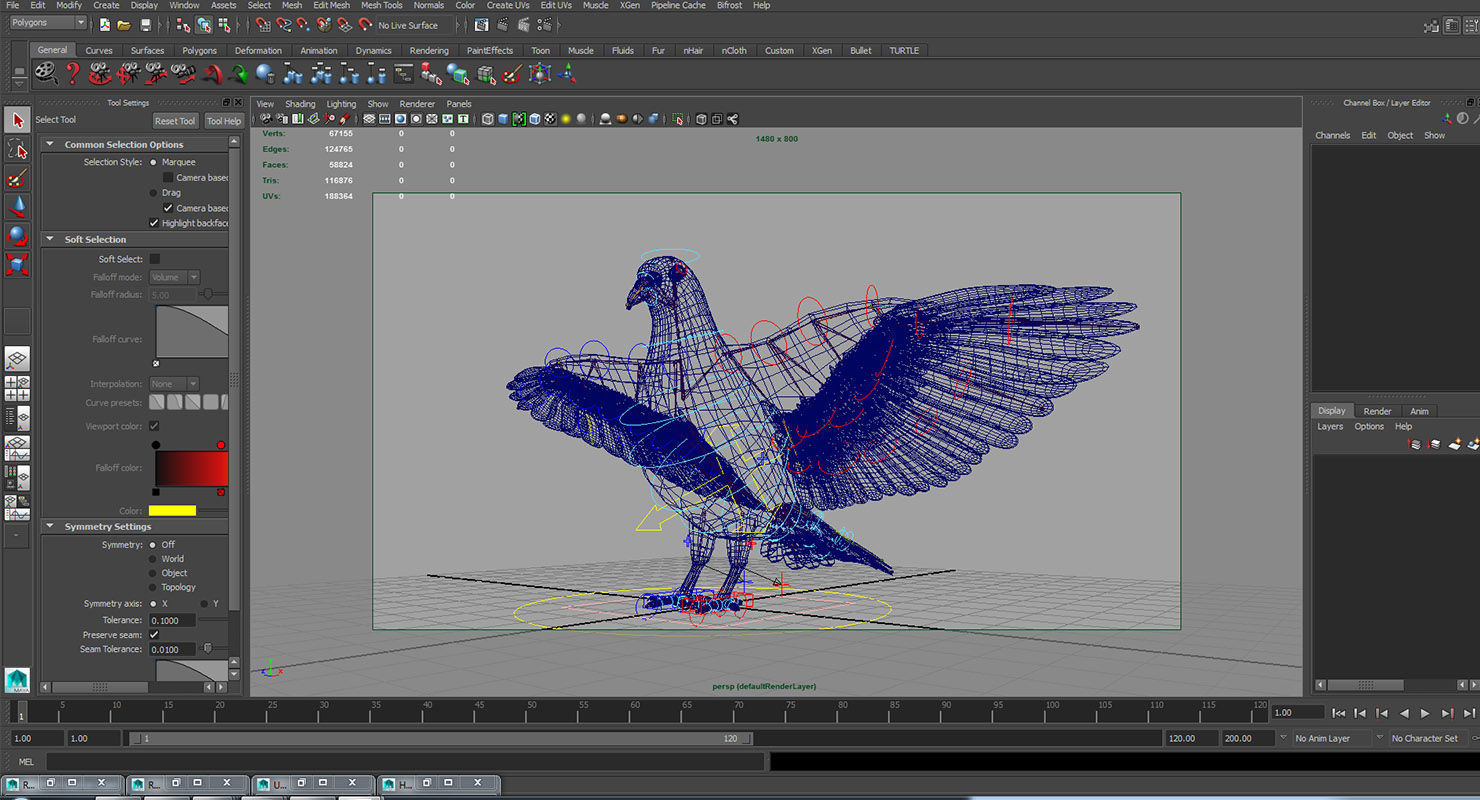 pigeon dove 3d model rigged 3D model_6