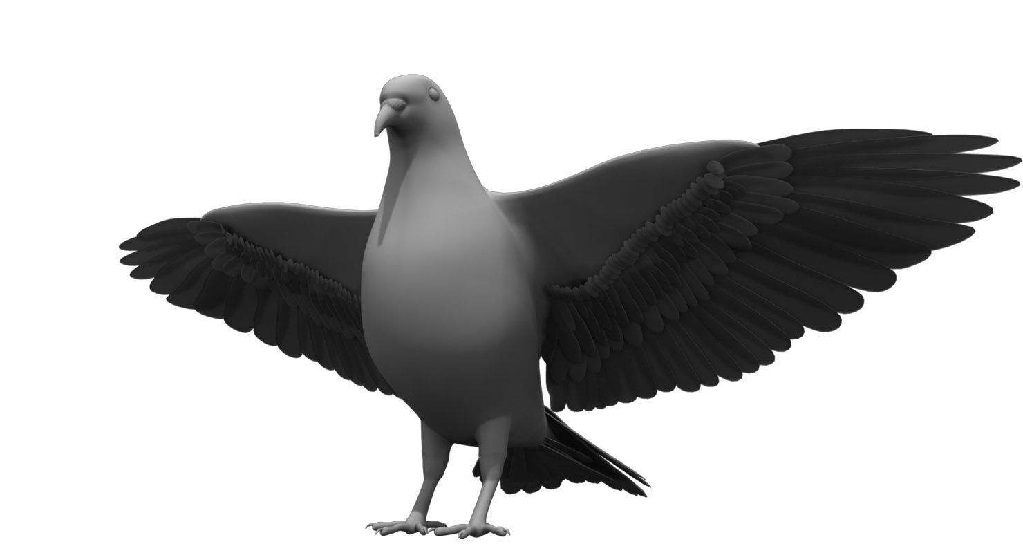 pigeon dove 3d model rigged 3D model_5