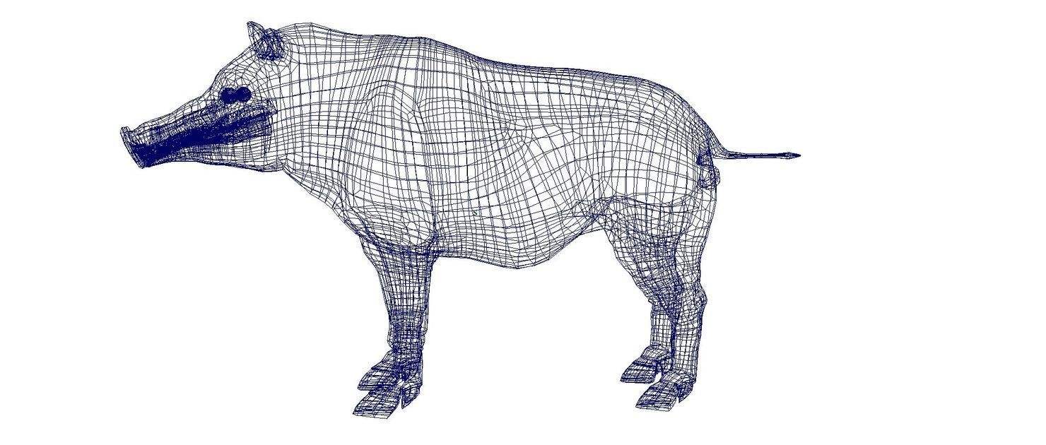 forest pig 3d model  3D model_4