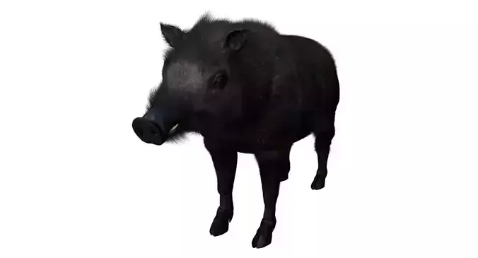 forest pig 3d model 