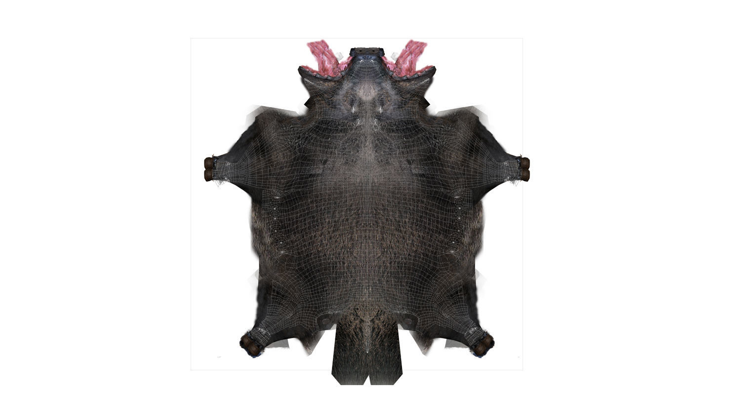 forest pig 3d model  3D model_7