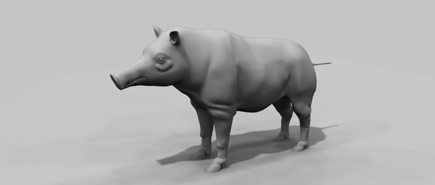 forest pig 3d model  3D model_5