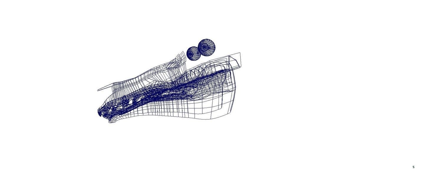 forest pig 3d model  3D model_8