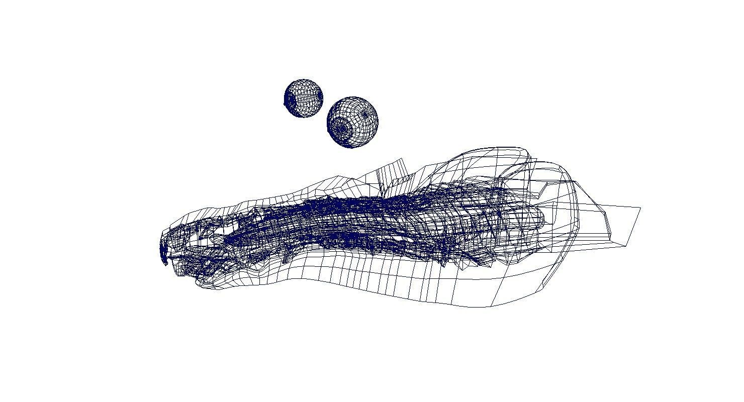 forest pig 3d model  3D model_5