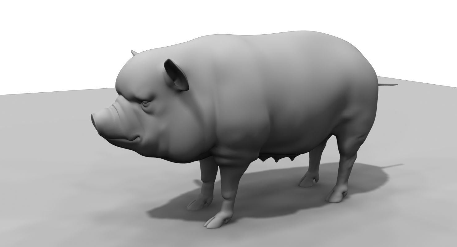 forest pig 3d model  3D model_8