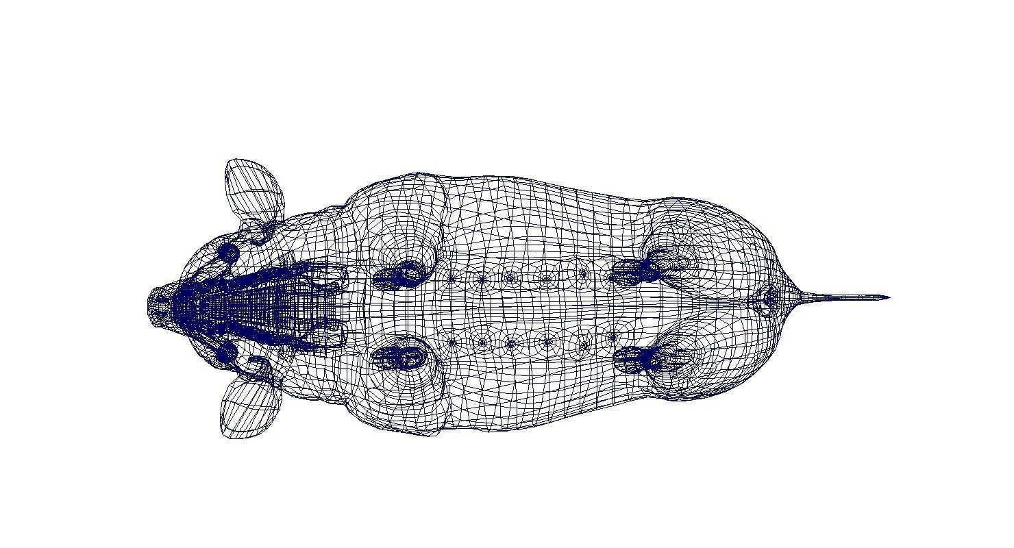 forest pig 3d model  3D model_4