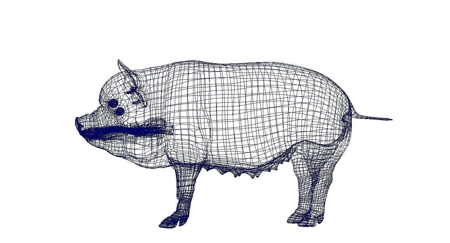 forest pig 3d model  3D model_3