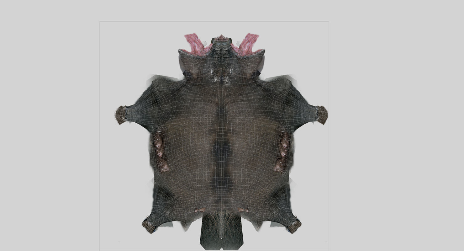 forest pig 3d model  3D model_1