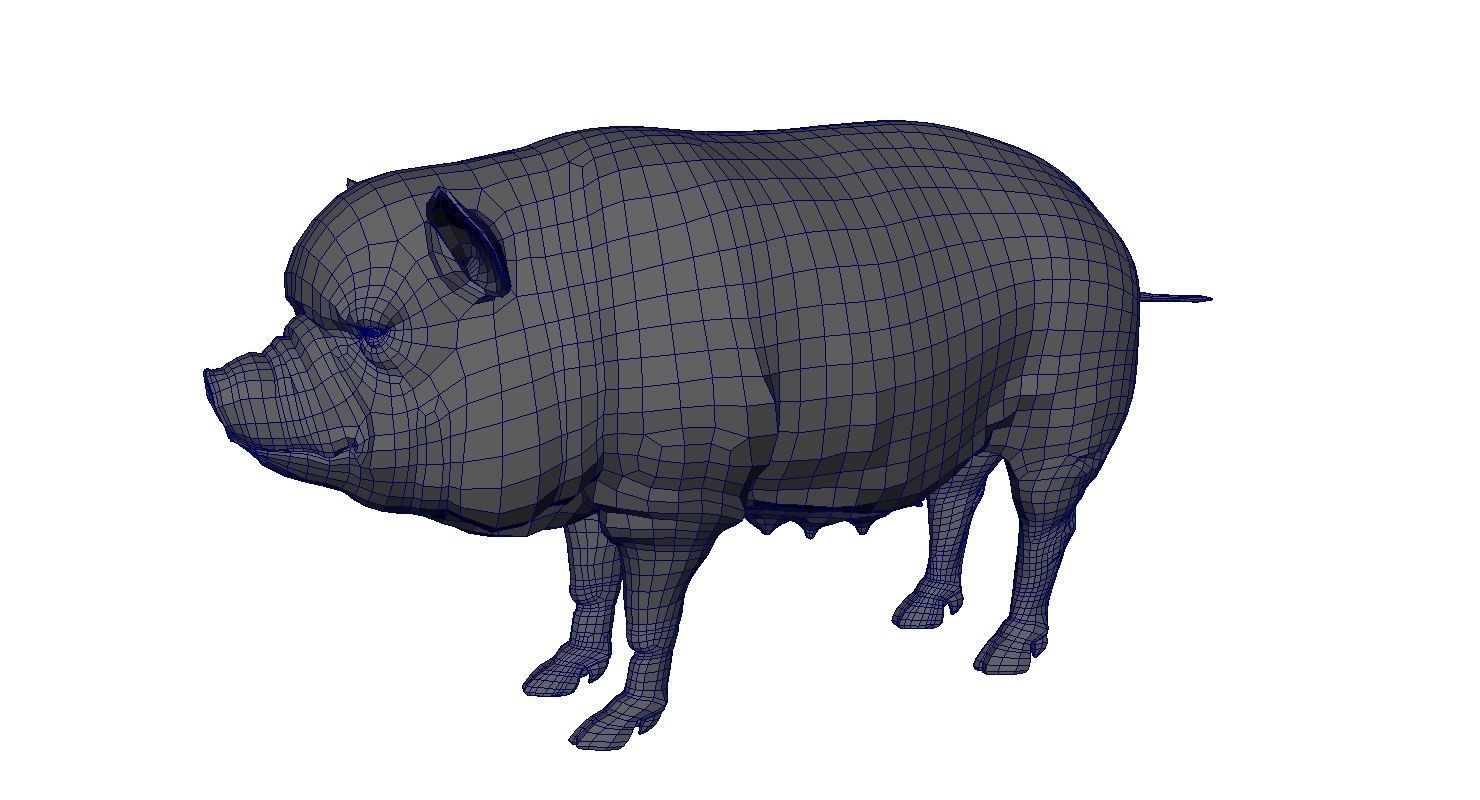 forest pig 3d model  3D model_9