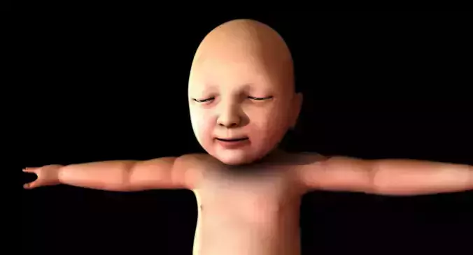 born baby 3d model