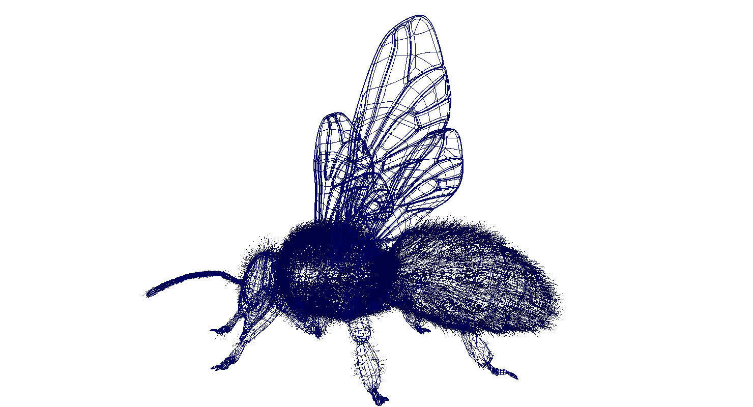 bee 3d model fur 3D model_3