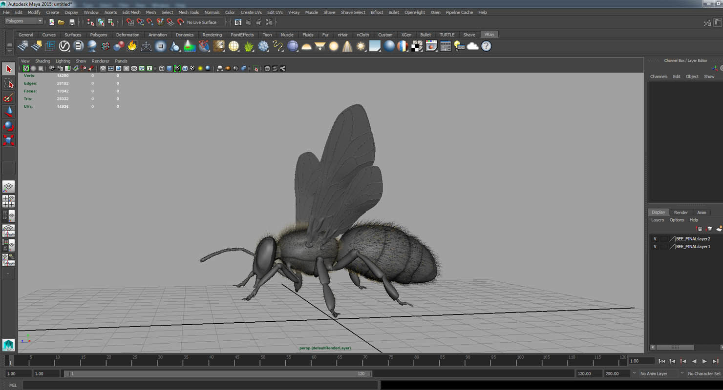 bee 3d model fur 3D model_4