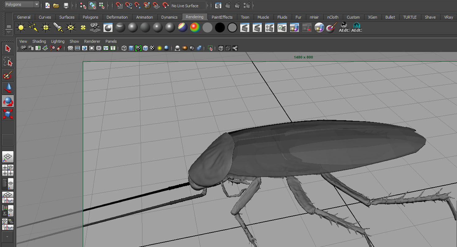 3D cockroach 3d model 3D model_8