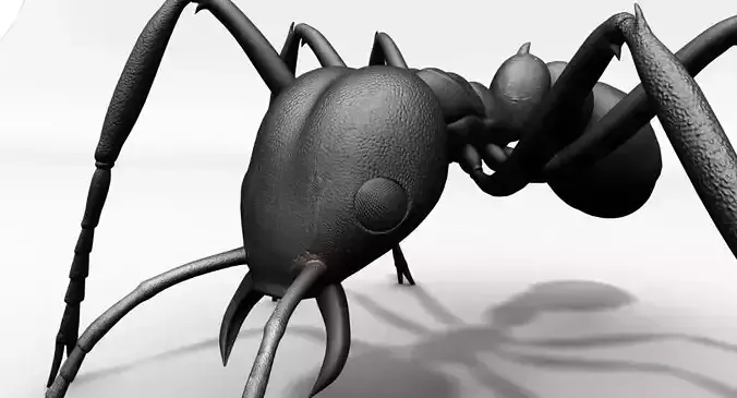 ant 3d rig model