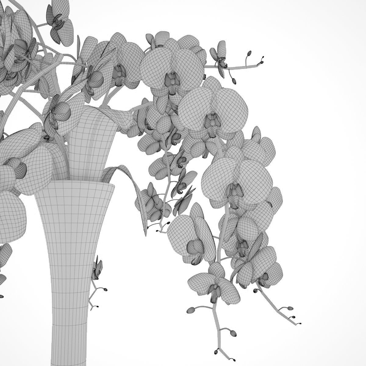 Orchid Flowers in Vase 3D Model 3D model_5