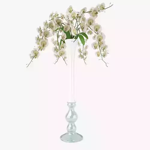 Orchid Flowers in Vase 3D Model