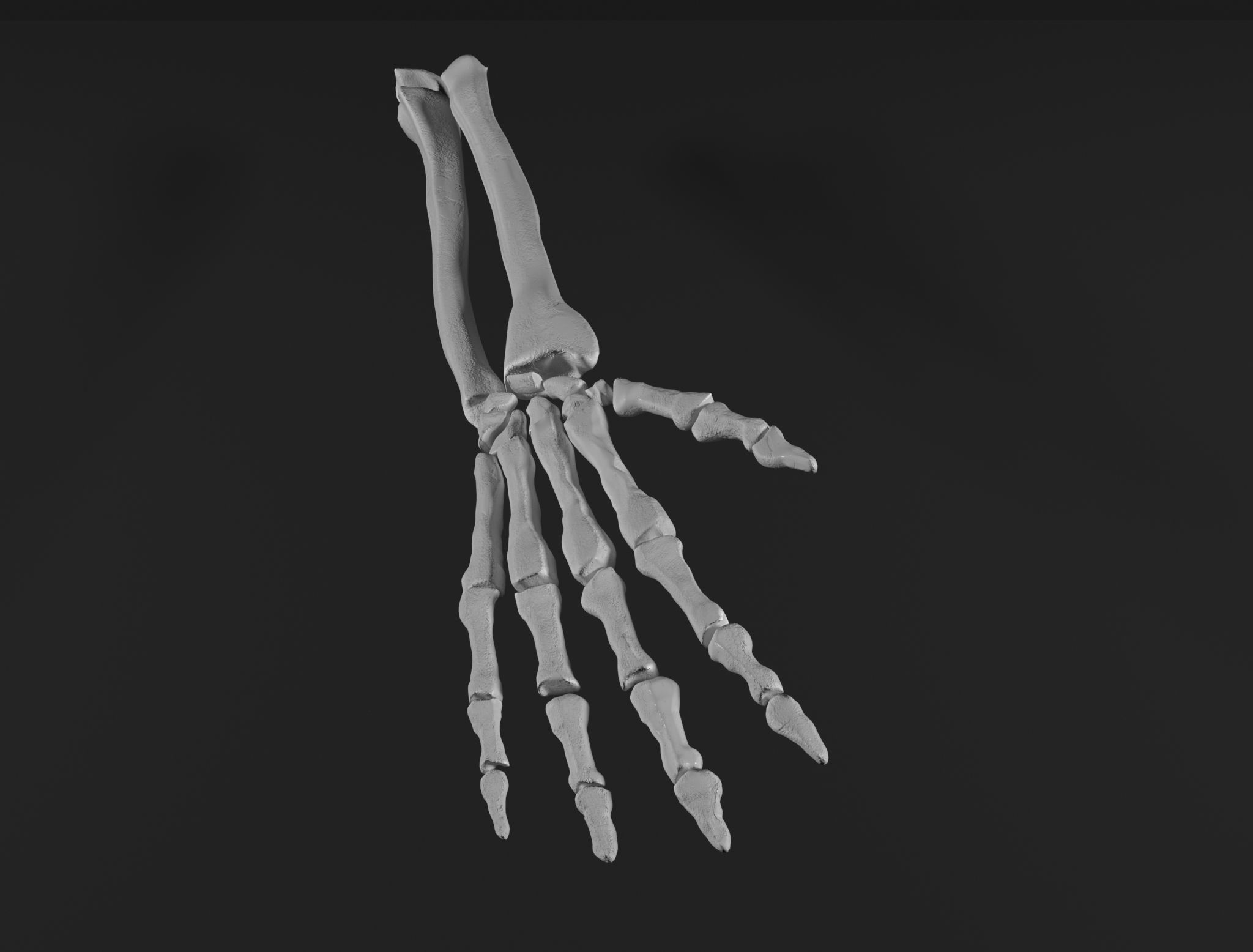 Right Hand 3D model_4