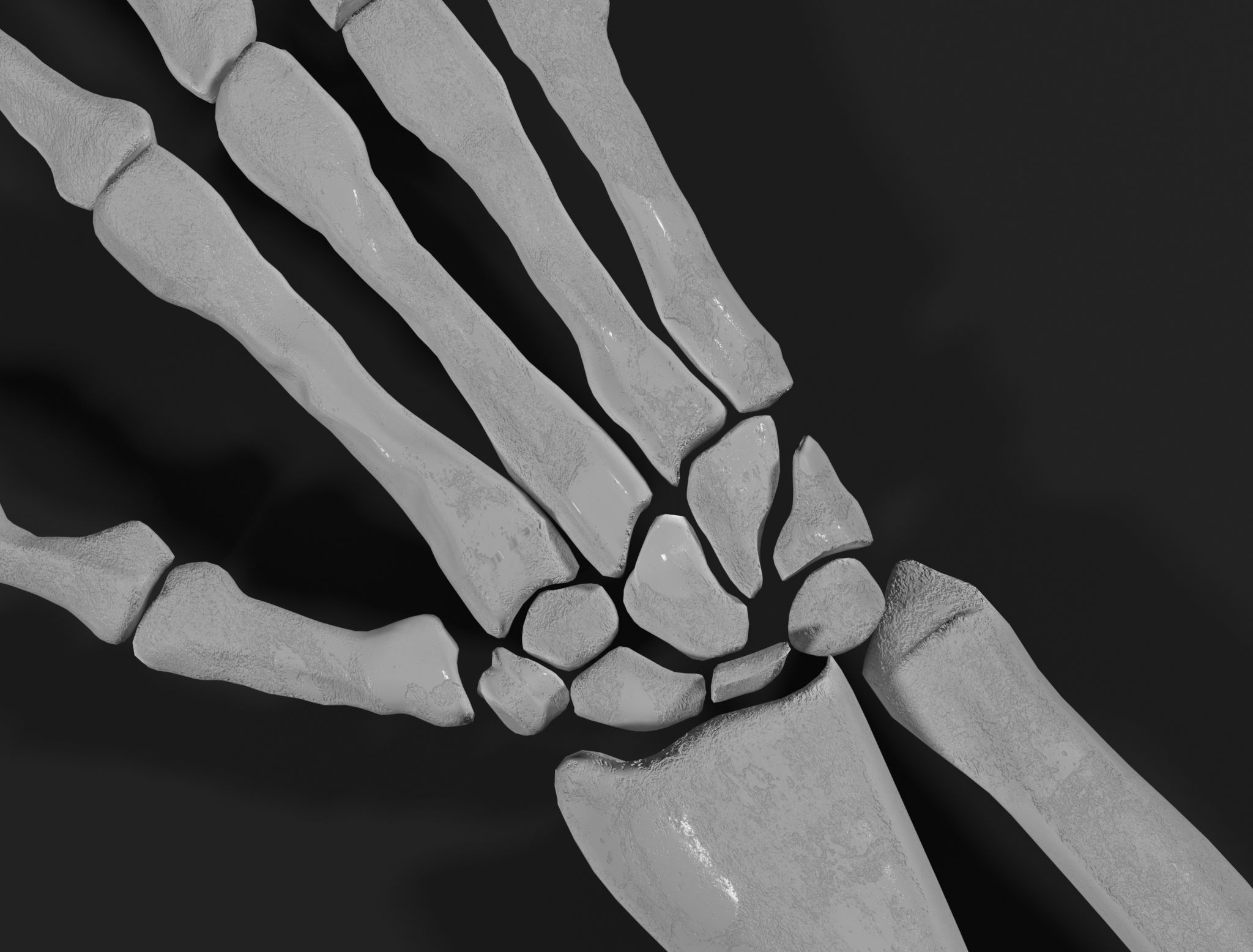 Right Hand 3D model_3