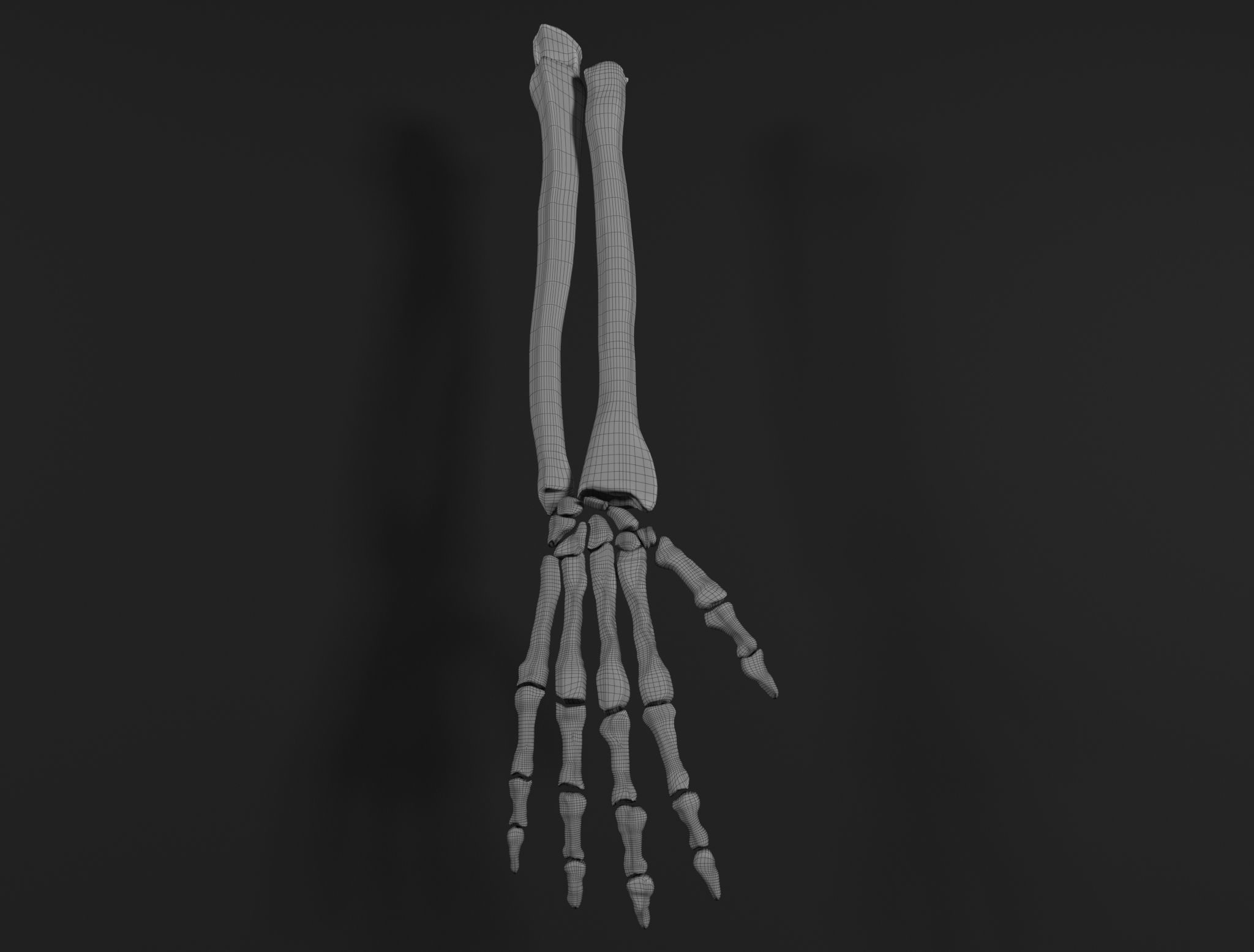 Right Hand 3D model_5